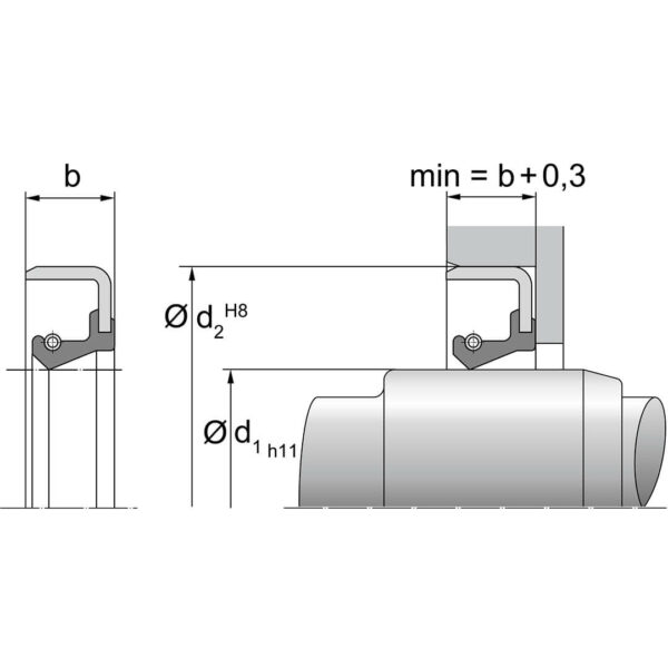 Akseltetning B Dimensjoner TTP SEALS