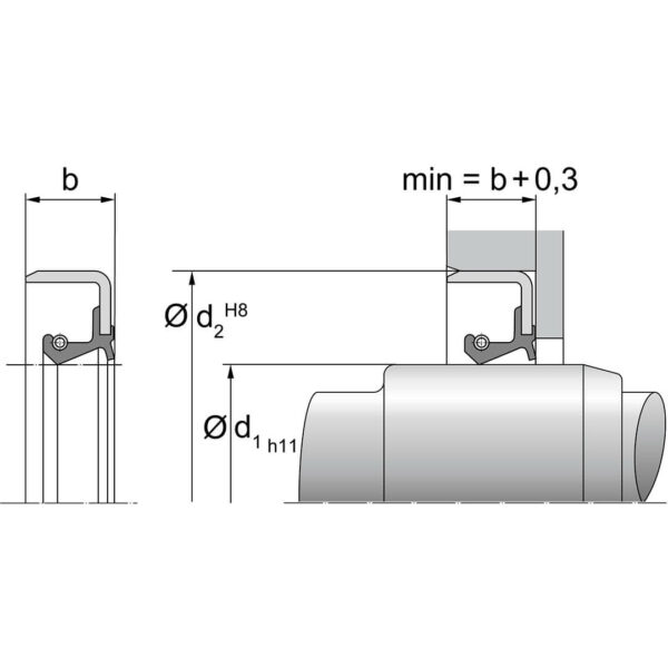 Akseltetning BSL Dimensjoner TTP SEALS