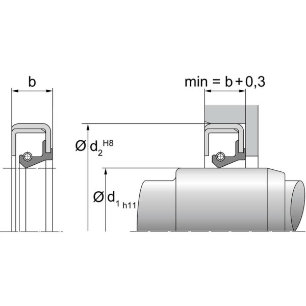 Akseltetning C Dimensjoner TTP SEALS