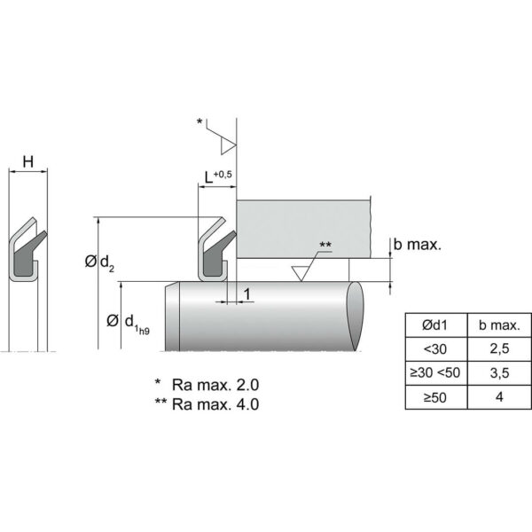 Gamma Ring RB Dimensjoner TTP SEALS