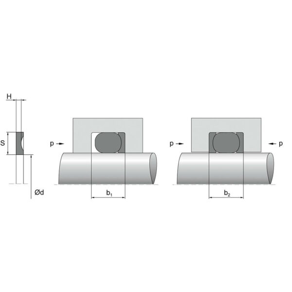 Stottering Dimensjoner TTP SEALS