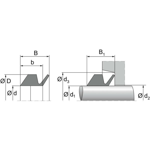 V Ring VS Dimensjoner TTP SEALS