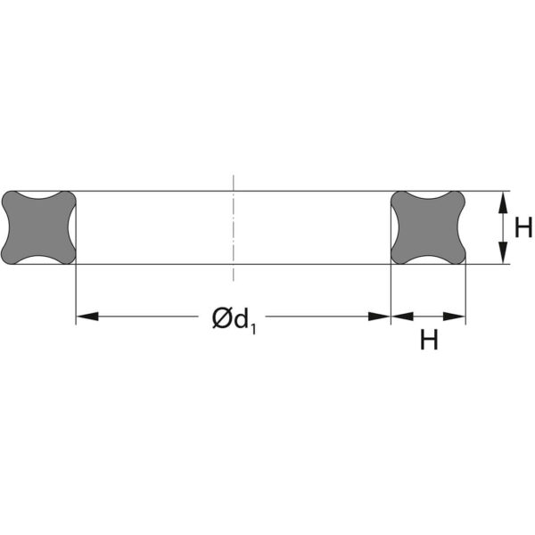 X Ring Dimensjoner TTP SEALS